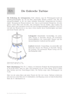 Die Eulersche Turbine